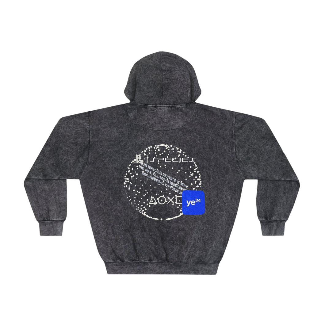 YE24 MINERAL WASH HOODIE V2