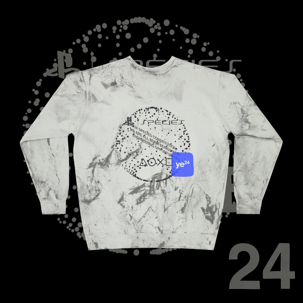 YE24 SMOKE CREWNECK V2
