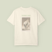 Load image into Gallery viewer, comfortcolors/stocktee.
