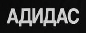 VZN